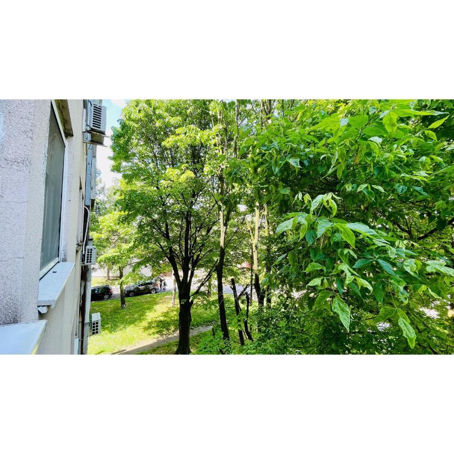 Apartament Apartman Jelena II Sremska Mitrovica Zewnętrze zdjęcie